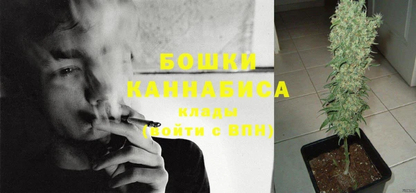 мяу мяу мука Гусь-Хрустальный