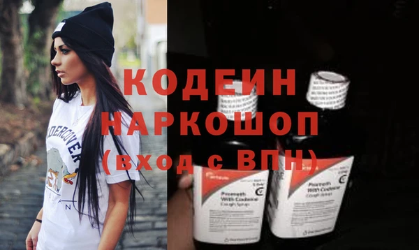 мяу мяу мука Гусь-Хрустальный