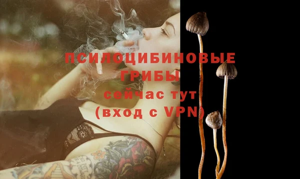 соль ск Горно-Алтайск