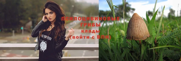 соль ск Горно-Алтайск