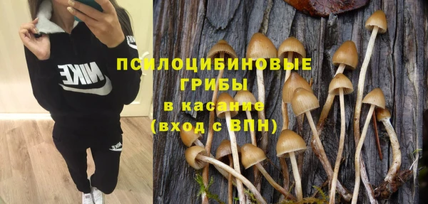 кокаин Гусев