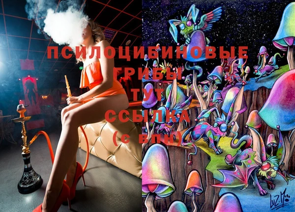 мяу мяу мука Гусь-Хрустальный